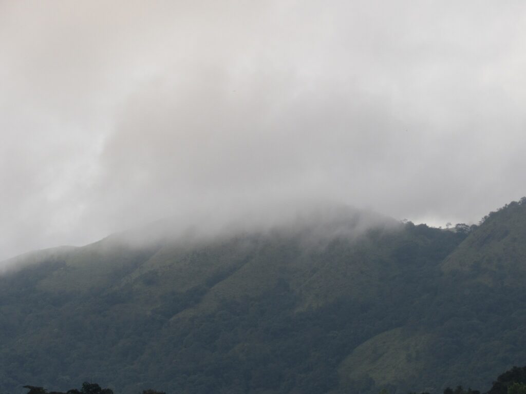 Top-5 Places of South India During monsoon in Hindi